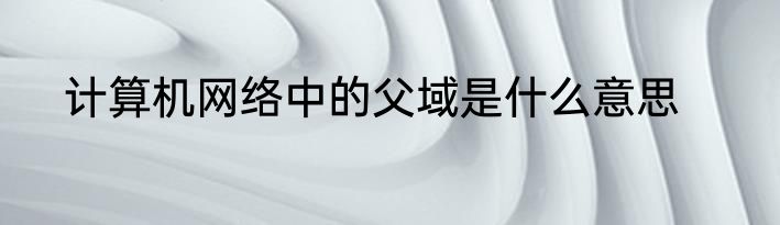 计算机网络中的父域是什么意思