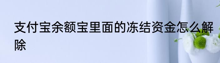 支付宝余额宝里面的冻结资金怎么解除