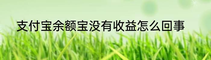 支付宝余额宝没有收益怎么回事