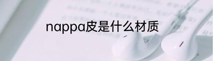 nappa皮是什么材质
