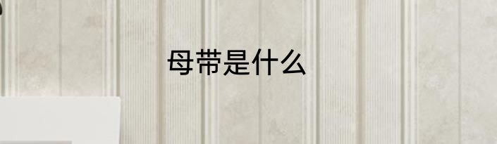 母带是什么