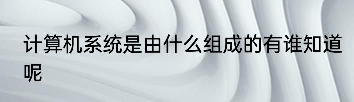 计算机系统是由什么组成的有谁知道呢
