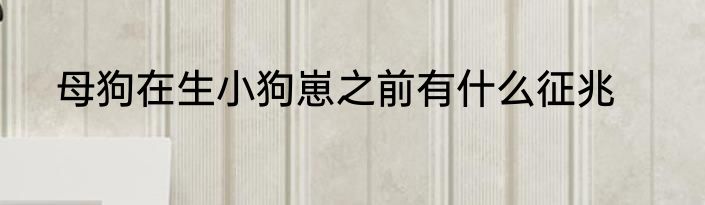 母狗在生小狗崽之前有什么征兆