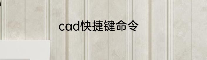 cad快捷键命令