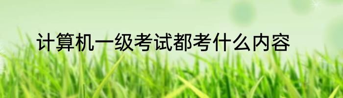 计算机一级考试都考什么内容