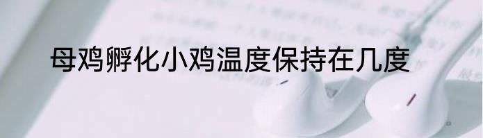 母鸡孵化小鸡温度保持在几度