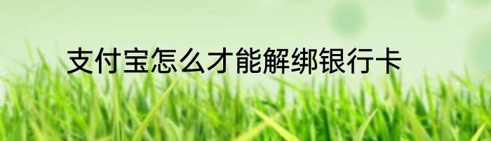 支付宝怎么才能解绑银行卡