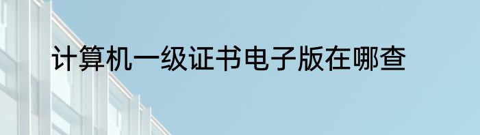 计算机一级证书电子版在哪查