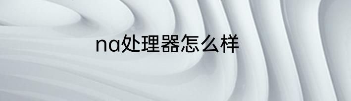 na处理器怎么样