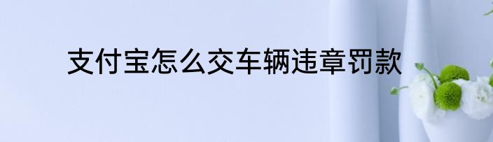 支付宝怎么交车辆违章罚款