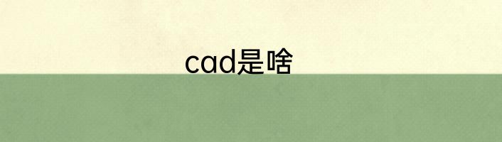 cad是啥