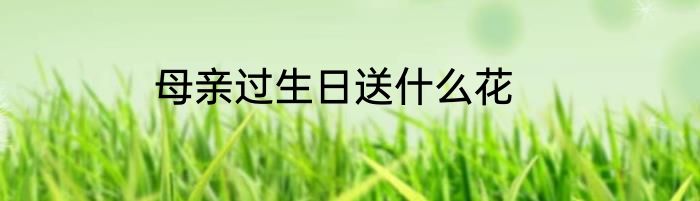 母亲过生日送什么花