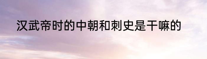 汉武帝时的中朝和刺史是干嘛的