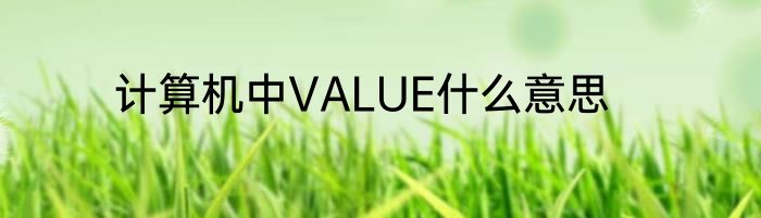 计算机中VALUE什么意思