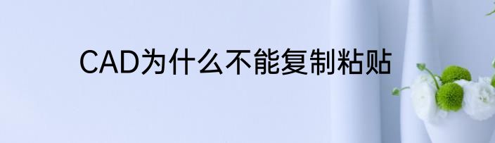 CAD为什么不能复制粘贴