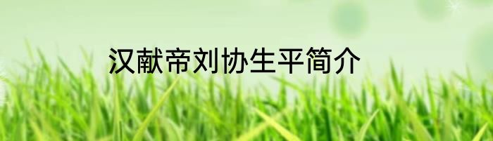 汉献帝刘协生平简介