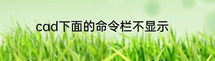 cad下面的命令栏不显示