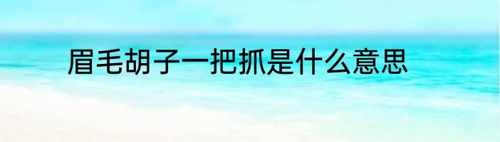 眉毛胡子一把抓是什么意思