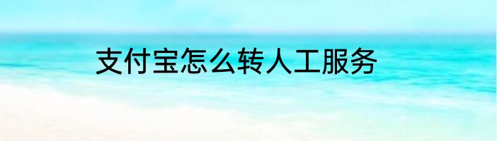 支付宝怎么转人工服务