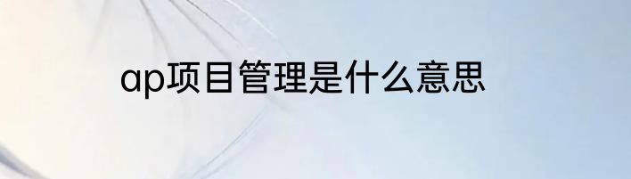 ap项目管理是什么意思