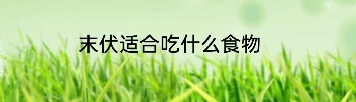 末伏适合吃什么食物