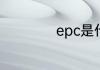 epc是什么故障灯亮