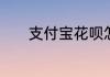 支付宝花呗怎么设置分期还款