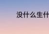 没什么生什么的词语有哪些