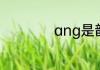 ang是韵母还是声母