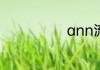 ann流行语意思
