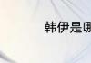 韩伊是哪个国家的品牌
