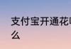 支付宝开通花呗刷脸认证的步骤是什么