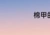 棉甲的网络意思