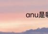 anu是哪个国内大学