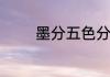 墨分五色分别是哪五种颜色