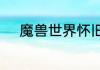 魔兽世界怀旧服萨尔玛声望用处