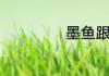 墨鱼跟鱿鱼的区别