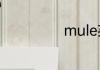 mule英语怎么读