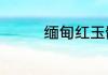缅甸红玉髓手镯大概多钱