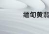缅甸黄翡翠是什么样子