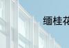 缅桂花树养殖方法