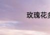 玫瑰花多少朵的寓意
