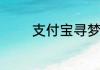 支付宝寻梦技术扣款是什么