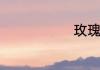 玫瑰花怎么折
