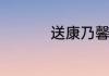 送康乃馨代表什么意思