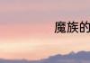 魔族的花戎是什么