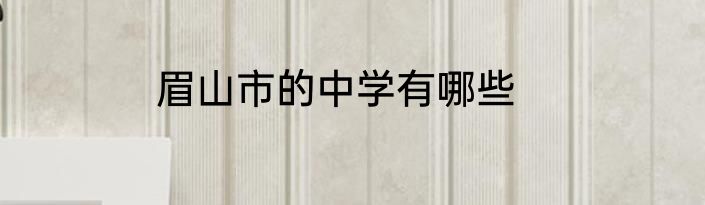 眉山市的中学有哪些