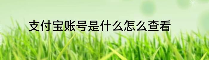 支付宝账号是什么怎么查看