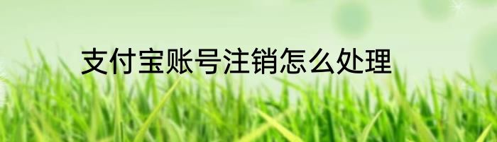 支付宝账号注销怎么处理