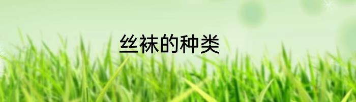 丝袜的种类